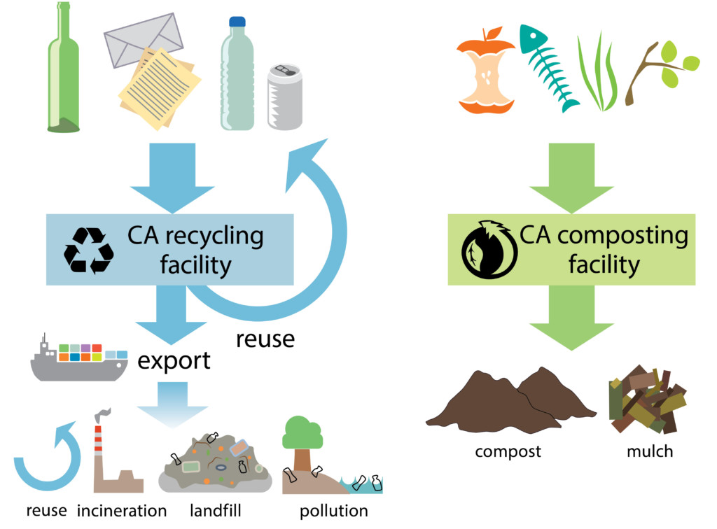What happens to our waste? Overview of the recycling and composting process in CA. Credit: Nicole Repina
