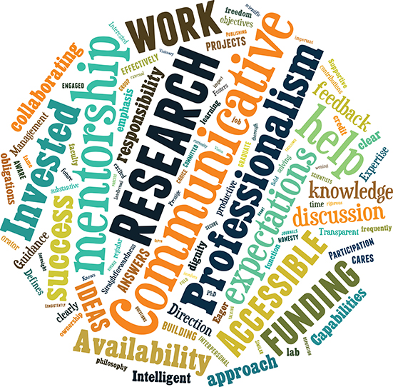 Students in the chemical and biomolecular engineering department at UC Berkeley were asked to list the top three traits they look for in a research mentor. Among the most common answers were good communication, clear expectations, and a focus on mentorship. Word size corresponds to frequency in responses. Credit: Jo Downes Bairzin, created with Tagxedo.com.